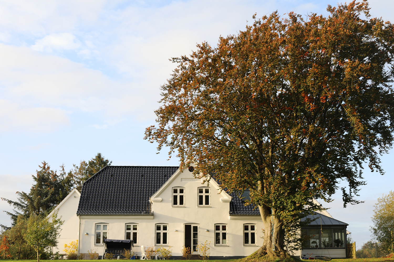 Duemosegaard - efteraar - 1
